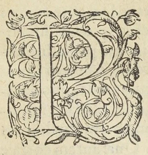 An illustration from Hortorum secreta, cultus, et auxilia, amœnæ voluptatis, & inenarabilis utilitatis abunde plena: rerúmque variarum accessione nunc primùm aucta & illustrata. Autore Antonio Mizaldo Monluciensi, medico., 1575, leaf 236