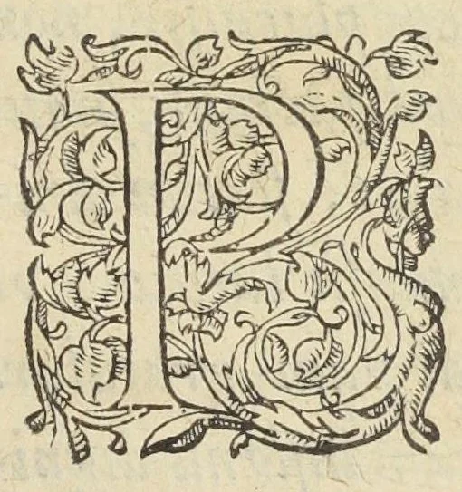 An illustration from Opusculum de sena, planta inter omnes, quotquot sunt, hominibus beneficentissima & saluberrima. Autore Antonio Mizaldo Monluciano, medico., 1574, leaf 2