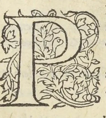 An illustration from Opusculum de sena, planta inter omnes, quotquot sunt, hominibus beneficentissima & saluberrima. Autore Antonio Mizaldo Monluciano, medico., 1574, leaf 40