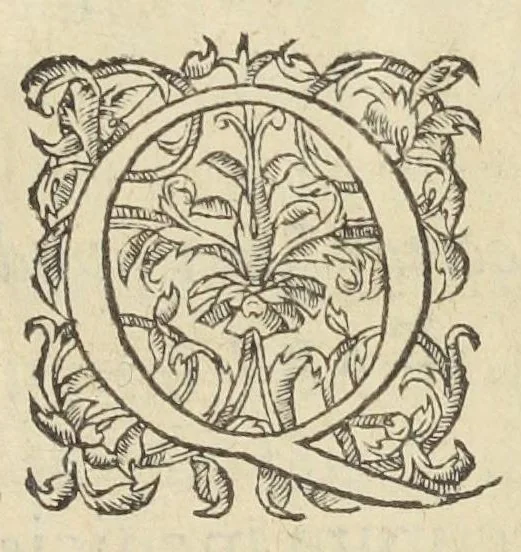 An illustration from Opusculum de sena, planta inter omnes, quotquot sunt, hominibus beneficentissima & saluberrima. Autore Antonio Mizaldo Monluciano, medico., 1574, leaf 8
