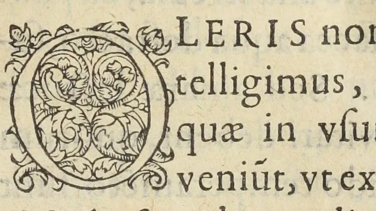 An illustration from Dioclis Carystii medici, ab Hippocrate famâ & ætate secundi, aurea ad Antigonum regem epistola, de morborum præsagiis, & eorumdem exte[m]poraneis remediis. Ad hæc, Arnaldi a Villa-Nova medici præstantissimi Consilium ad regem Aragonum, de salubri hortensium usu. Antonii Mizaldi Monluciani, medici, cura & diligentia., 1572, leaf 24