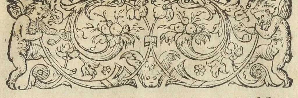 An illustration from Artificiosa methodus comparandorum hortensium fructuum, olerum, radicum, uvarum, vinorum, carnium & jusculorum quæ corpus clementer purgent, & variis morbis, absque ulla noxa & nausea, blande succurrant. Autore Ant. Mizaldo Monluciensi, medico., 1575, leaf 16