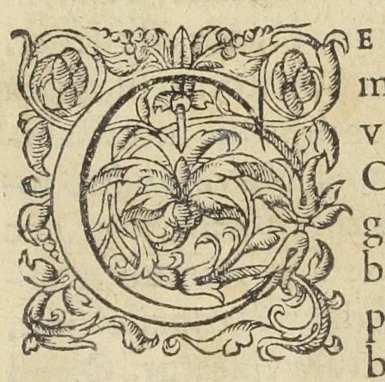 An illustration from Artificiosa methodus comparandorum hortensium fructuum, olerum, radicum, uvarum, vinorum, carnium & jusculorum quæ corpus clementer purgent, & variis morbis, absque ulla noxa & nausea, blande succurrant. Autore Ant. Mizaldo Monluciensi, medico., 1575, leaf 16