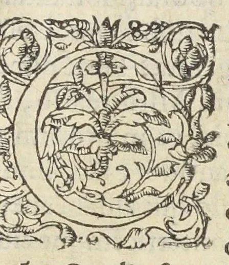 An illustration from Artificiosa methodus comparandorum hortensium fructuum, olerum, radicum, uvarum, vinorum, carnium & jusculorum quæ corpus clementer purgent, & variis morbis, absque ulla noxa & nausea, blande succurrant. Autore Ant. Mizaldo Monluciensi, medico., 1575, leaf 52