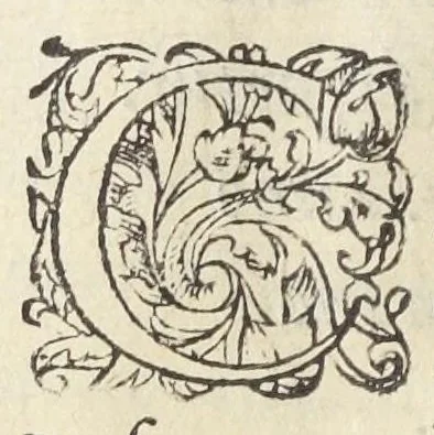 An illustration from Artificiosa methodus comparandorum hortensium fructuum, olerum, radicum, uvarum, vinorum, carnium & jusculorum quæ corpus clementer purgent, & variis morbis, absque ulla noxa & nausea, blande succurrant. Autore Ant. Mizaldo Monluciensi, medico., 1575, leaf 9