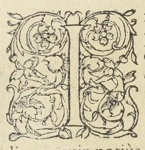 An illustration from Alexikepus, seu Auxiliaris et medicus hortus, rerum variarum, & secretoru[m] remediorum accessione locupletatus. Autore Antonio Mizaldo Monluciensi, medico., 1575, leaf 24