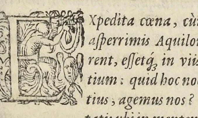 An illustration from Julii Caesaris Scaligeri In Libros Duos, Qui Inscribuntur de Plantis, Aristotele Authore. Libri Duo. Denuò nitori suo restituti, & in lucem editi., 1598, leaf 307