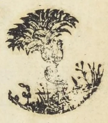 An illustration from Joannis Meursii filii Arboretum sacrum, sive De arborum, fruticum, & herbarum, consecratione, proprietate, usu ac qualitate. Libri III, 1642, leaf 5