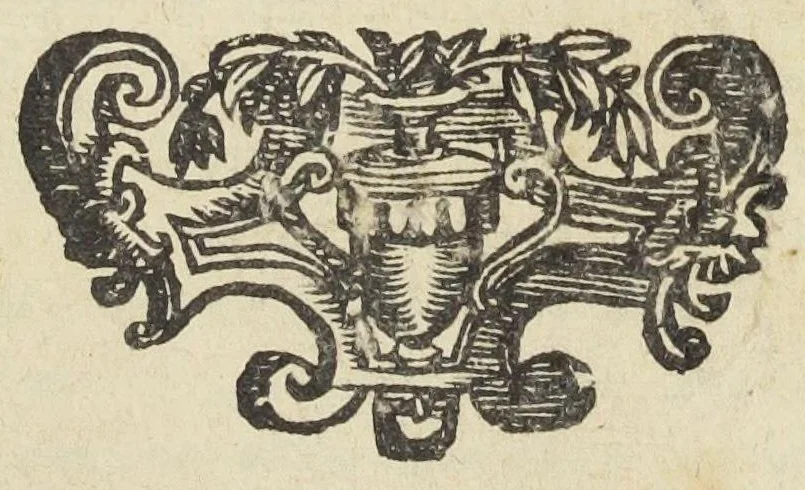 An illustration from Ignis lambens historia medica prolusio physica rarum pulchrescentis naturæ specimen. Illustrissimo & excellentissimo domino Aloysio Georgio Divi Marci procuratori et invictæ venetorum reipublicæ copiarum imperatori fortissimo D. Ezechiel de Castro doctor medicus phys., 1642, leaf 0