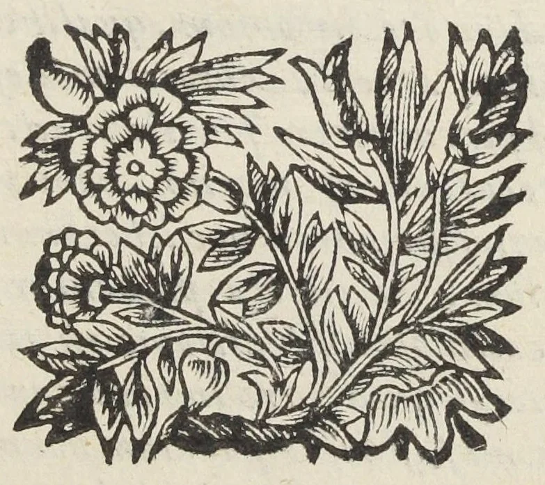 An illustration from Ignis lambens historia medica prolusio physica rarum pulchrescentis naturæ specimen. Illustrissimo & excellentissimo domino Aloysio Georgio Divi Marci procuratori et invictæ venetorum reipublicæ copiarum imperatori fortissimo D. Ezechiel de Castro doctor medicus phys., 1642, leaf 14