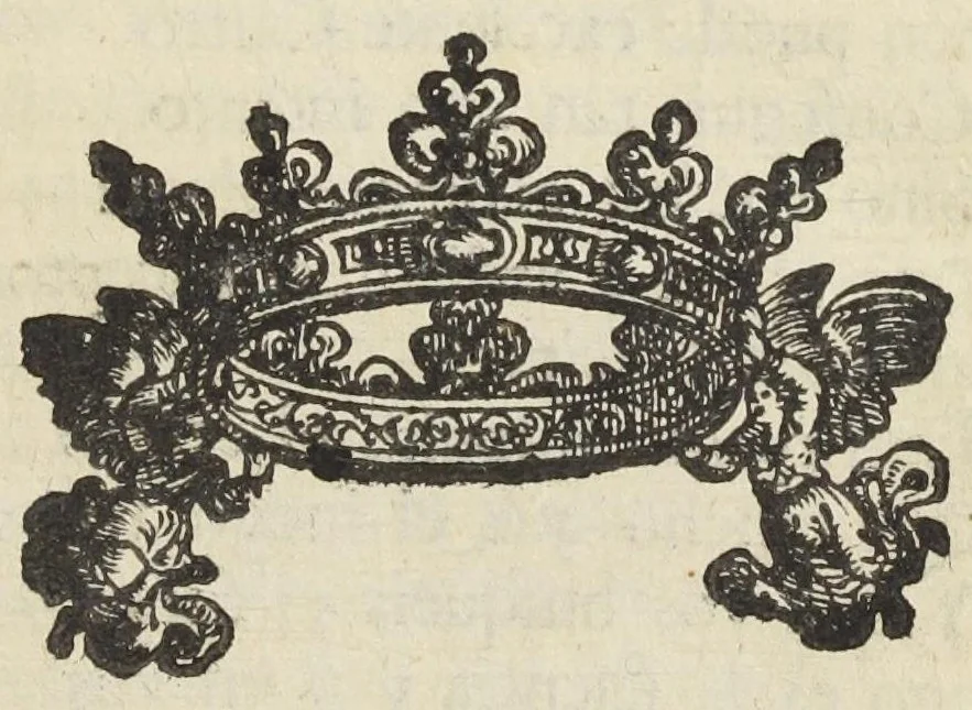 An illustration from Ignis lambens historia medica prolusio physica rarum pulchrescentis naturæ specimen. Illustrissimo & excellentissimo domino Aloysio Georgio Divi Marci procuratori et invictæ venetorum reipublicæ copiarum imperatori fortissimo D. Ezechiel de Castro doctor medicus phys., 1642, leaf 18