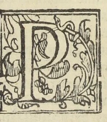 An illustration from Ignis lambens historia medica prolusio physica rarum pulchrescentis naturæ specimen. Illustrissimo & excellentissimo domino Aloysio Georgio Divi Marci procuratori et invictæ venetorum reipublicæ copiarum imperatori fortissimo D. Ezechiel de Castro doctor medicus phys., 1642, leaf 30
