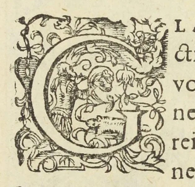 An illustration from Pauli Renealmi Blaesensis doctoris medici Specimen historiæ plantarum. Plantæ typis æneis expressæ., 1611, leaf 13