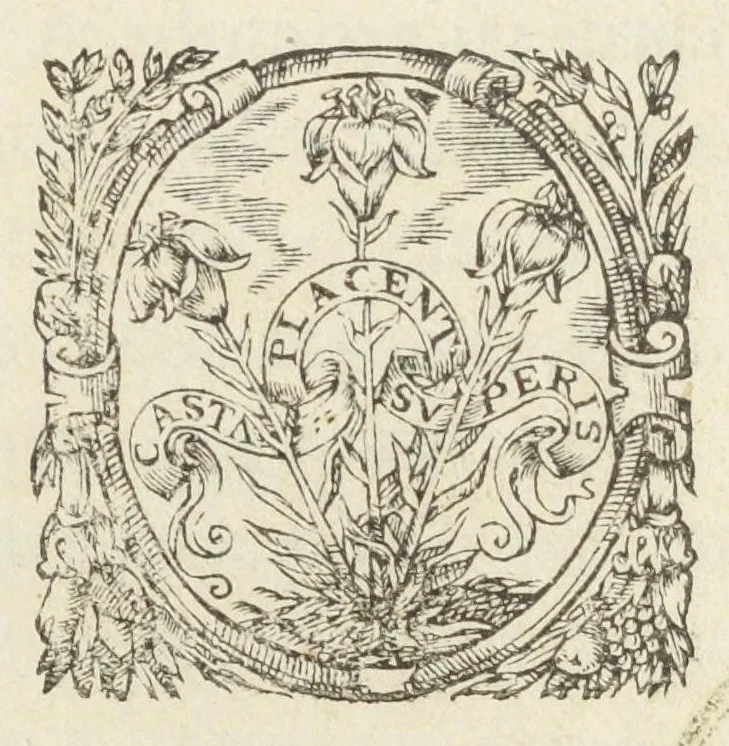 An illustration from Pauli Renealmi Blaesensis doctoris medici Specimen historiæ plantarum. Plantæ typis æneis expressæ., 1611, leaf 5