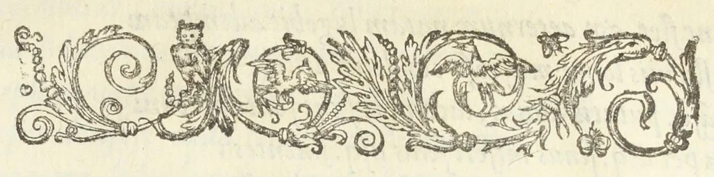 An illustration from Crambe. Viola. Lilium. Phlogis. Terpsinoe, 1611, leaf 12