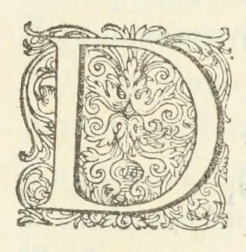 An illustration from Crambe. Viola. Lilium. Phlogis. Terpsinoe, 1611, leaf 12