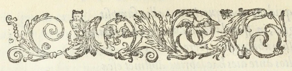 An illustration from Crambe. Viola. Lilium. Phlogis. Terpsinoe, 1611, leaf 19