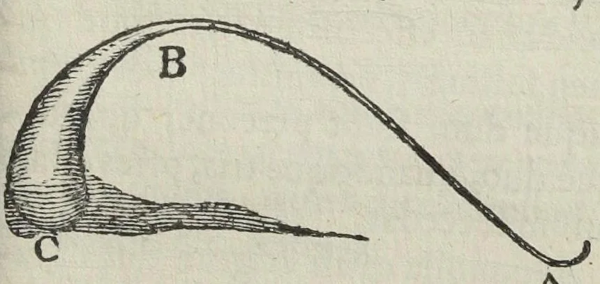 An illustration from Antoni Neri Florentini, De arte vitraria libri septem, & in eosdem Christoph. Merretti med.D. & Societ. Regiæ Socii. Observationes & notæ. In quibus omne gemmarum artificialium, encaustorum & laccarum artificium explicatur., 1668, leaf 423