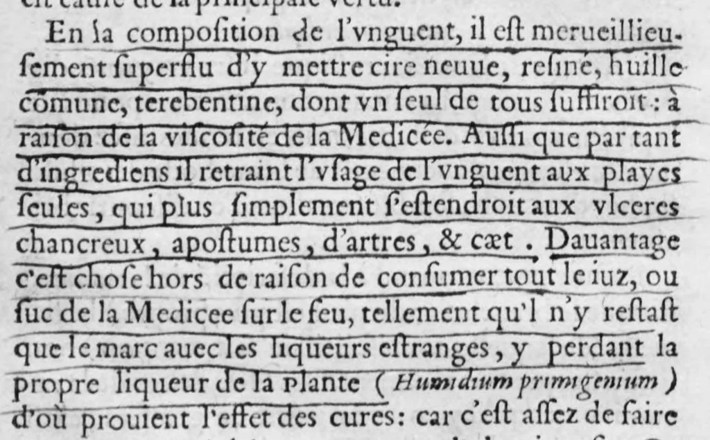 An illustration from Instruction sur l'herbe petum ditte en France l'herbe de la Royne ou medicée et sur la racine mechiocan principalement (avec quelques autres simples rares & exquis) exemplaire à manier philosophiquement tous autres vegetaux, 1572, leaf 22