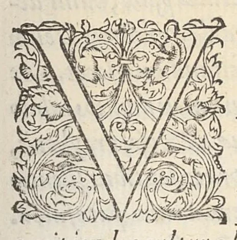An illustration from Mercurii Trismegisti Pimandras utraque lingua restitutus, D. Francisi Flussatis Candallae industria. Ad Maximilianum Caesarem ejus nominis quartum, 1574, leaf 4