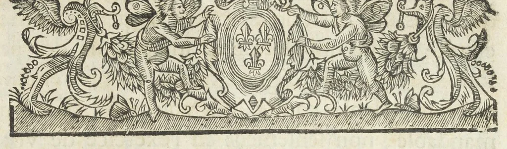 An illustration from La pharmacopée de Bauderon reveüe, et exactement corrigée en plus de treize cens endroits, des fautes qui s'étoient glissées dans les precedentes editions. Et de nouveau augmentée de remarques considerables sur châque composition, particulierement sur la theriaque, où il est amplement traitté d'un grand nombre de substituts que ceux-la même qui l'exposent en public y font entrer à la place des plus considerables ingrediens d'icelle, quoy qu'ils soient bien differens en vertus. Avec la réponse au Vindiciæ contra Verny de Mr Jean Zwelfer medecin de Sa Majesté impériale, & la refutation de la confection d'alkermes qu'il a composée & décrite dans sa pharmacopée royale. Et en cette troisiéme edition, a été de nouveau ajoûté une ample matiere medicale, & prouvé que l'Aristoloche clematite est la tenuë des Anciens, comme aussi que les mêmes Anciens, ont appellé du nom d'onguent les trochisques d'Hedychroum & autres compositions solides. Par François Verny, maître apothicaire juré de l'Université de medecine à Montpelier. Divisée en deux livres., 1681, leaf 875