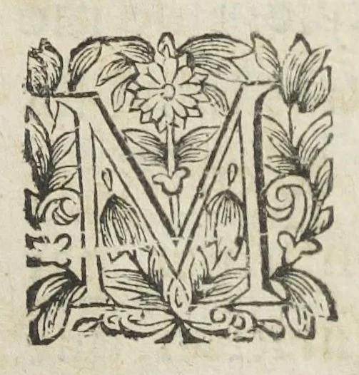 An illustration from La pharmacopée de Bauderon reveüe, et exactement corrigée en plus de treize cens endroits, des fautes qui s'étoient glissées dans les precedentes editions. Et de nouveau augmentée de remarques considerables sur châque composition, particulierement sur la theriaque, où il est amplement traitté d'un grand nombre de substituts que ceux-la même qui l'exposent en public y font entrer à la place des plus considerables ingrediens d'icelle, quoy qu'ils soient bien differens en vertus. Avec la réponse au Vindiciæ contra Verny de Mr Jean Zwelfer medecin de Sa Majesté impériale, & la refutation de la confection d'alkermes qu'il a composée & décrite dans sa pharmacopée royale. Et en cette troisiéme edition, a été de nouveau ajoûté une ample matiere medicale, & prouvé que l'Aristoloche clematite est la tenuë des Anciens, comme aussi que les mêmes Anciens, ont appellé du nom d'onguent les trochisques d'Hedychroum & autres compositions solides. Par François Verny, maître apothicaire juré de l'Université de medecine à Montpelier. Divisée en deux livres., 1681, leaf 875
