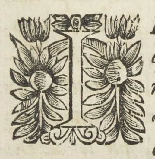 An illustration from La pharmacopée de Bauderon reveüe, et exactement corrigée en plus de treize cens endroits, des fautes qui s'étoient glissées dans les precedentes editions. Et de nouveau augmentée de remarques considerables sur châque composition, particulierement sur la theriaque, où il est amplement traitté d'un grand nombre de substituts que ceux-la même qui l'exposent en public y font entrer à la place des plus considerables ingrediens d'icelle, quoy qu'ils soient bien differens en vertus. Avec la réponse au Vindiciæ contra Verny de Mr Jean Zwelfer medecin de Sa Majesté impériale, & la refutation de la confection d'alkermes qu'il a composée & décrite dans sa pharmacopée royale. Et en cette troisiéme edition, a été de nouveau ajoûté une ample matiere medicale, & prouvé que l'Aristoloche clematite est la tenuë des Anciens, comme aussi que les mêmes Anciens, ont appellé du nom d'onguent les trochisques d'Hedychroum & autres compositions solides. Par François Verny, maître apothicaire juré de l'Université de medecine à Montpelier. Divisée en deux livres., 1681, leaf 9
