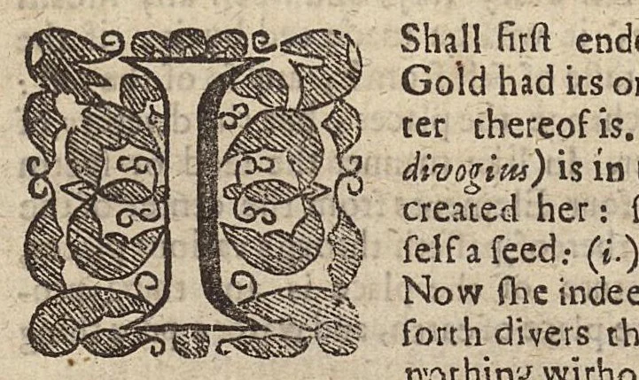 An illustration from The art of distillation : or, a treatise of the choicest spagyrical preparations, experiments, and curiosities, performed by way of distillation, 1664, leaf 206