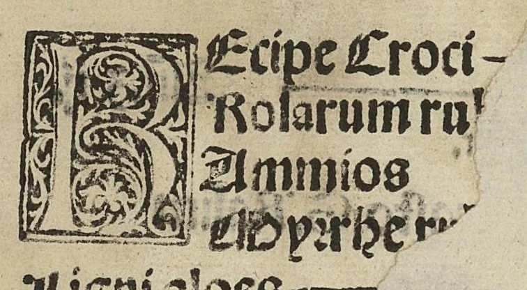 An illustration from Concordie pharmacopolarum Barcinonensium [Pharmacopée de Barcelone], 1535, leaf 130