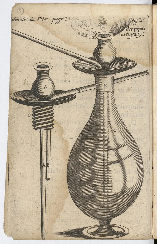 An illustration from Traicté du tabac, ou Nicotiane, panacée, pétun, 1630, leaf 365