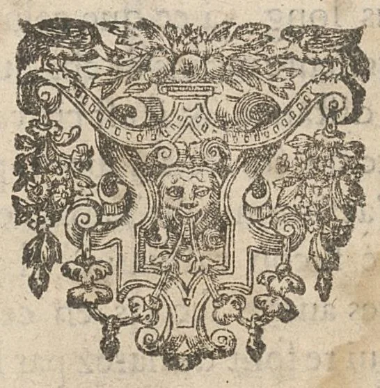 An illustration from Traicté du tabac, ou Nicotiane, panacée, pétun, 1630, leaf 366