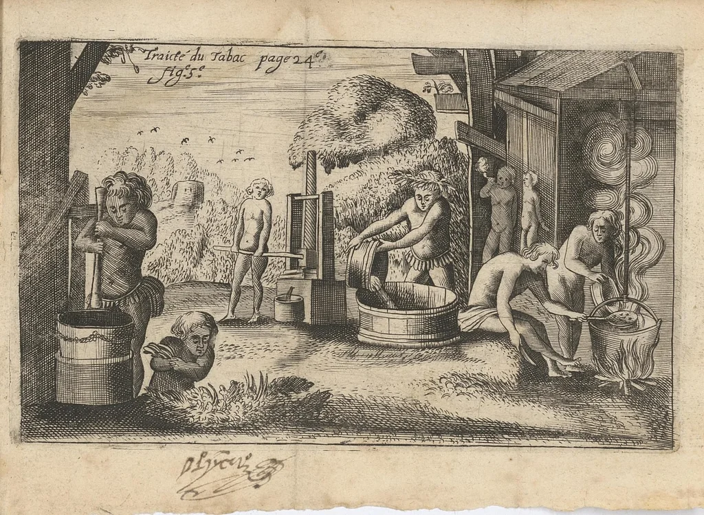An illustration from Traicté du tabac, ou Nicotiane, panacée, pétun, 1630, leaf 46