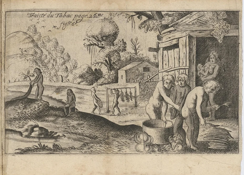 An illustration from Traicté du tabac, ou Nicotiane, panacée, pétun, 1630, leaf 50