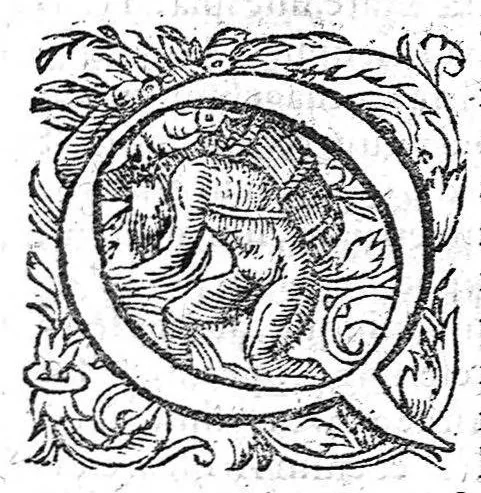 An illustration from Hieron. Mercurialis ... de morbis puerorum. Item de venenis et morbis venenosis. Quibus adjuncta est Censura Hippocratea, 1584, leaf 8