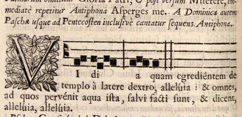 An illustration from Manuale rituum ecclesiasticorum ad usum ecclesiae et dioecesis Bajocensis. Authoritate reverendissimi in Christo Patris, ac DD. Francisci de Nesmond, episcopi Bajocensis, recognitum., 1687, leaf 313