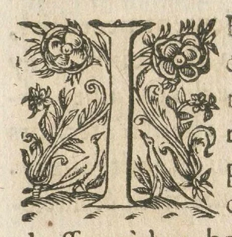 An illustration from Au Roy., 1601, leaf 6