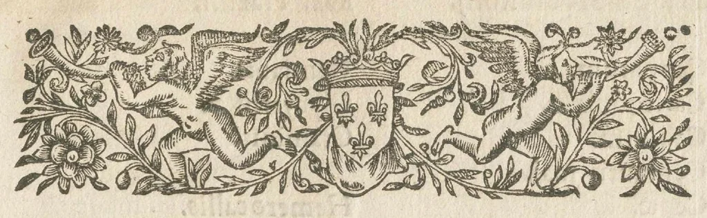 An illustration from Memoire des plantes usageres, et de leurs parties que l'on doit trouver à toutes occurrences, soit recentes ou seches, selon la saison ; au Jardin Royal des plantes medecinales ; ensemble les sucs, les eaux simples distilées, les sels et les essences., 1620, leaf 6