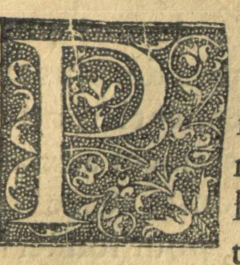 An illustration from La Toyson d'or, ou la fleur des thresors, en laquelle est succinctement & methodiquement traicté de la pierre des philosophes, de son excellence, effects & vertu admirable. Plus de son origine, & du vray moyen de pouvoir parvenir à sa perfection. Enrichies de figures, et des propres couleurs representees au vif, selo[n] qu'elles doive[n]t necessairement arriver en la pratique de ce bel oeuvre. Et recueillies des plus graves monuments de l'antiquité, tant Chaldeens, hebreux, aegyptiens, arabes, grecs, que latins, & autres autheurs approuvez. Par ce grand philosophe Salomon Trismosin precepteur de Paracelse. Traduict d'alemand en françois, & commenté en forme de paraphrase sur chasque chapitre par L.I., 1613, leaf 156