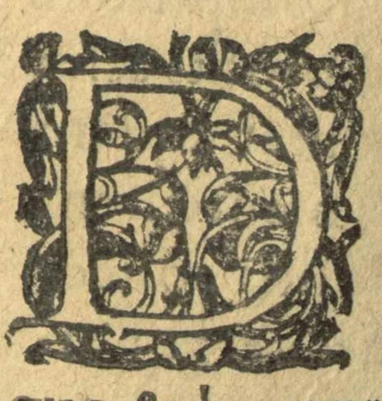An illustration from La Toyson d'or, ou la fleur des thresors, en laquelle est succinctement & methodiquement traicté de la pierre des philosophes, de son excellence, effects & vertu admirable. Plus de son origine, & du vray moyen de pouvoir parvenir à sa perfection. Enrichies de figures, et des propres couleurs representees au vif, selo[n] qu'elles doive[n]t necessairement arriver en la pratique de ce bel oeuvre. Et recueillies des plus graves monuments de l'antiquité, tant Chaldeens, hebreux, aegyptiens, arabes, grecs, que latins, & autres autheurs approuvez. Par ce grand philosophe Salomon Trismosin precepteur de Paracelse. Traduict d'alemand en françois, & commenté en forme de paraphrase sur chasque chapitre par L.I., 1613, leaf 220