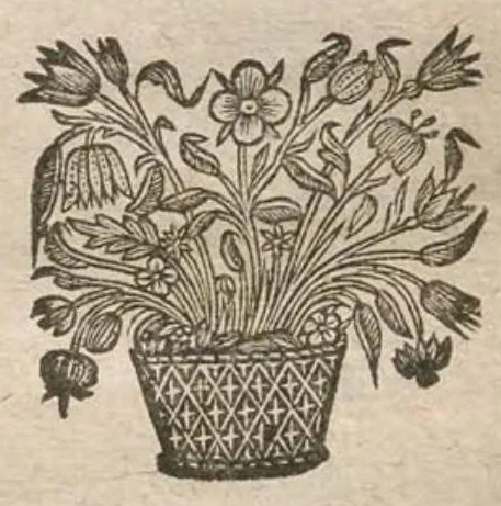 An illustration from Le nouveau et parfaict cuisinier ou il est traitté de la veritable methode pour apprester toutes sortes de viandes, gibbier, volatiles, poissons tant de mere [sic] que d'eau douce, suivant les quatre saisons de l'année. Ensemble la maniere de faire toutes sortes de patisseries, tant froides que chaudes, en perfection. Par le sieur Pierre de Lune, escuyer de cuisine de feu monsieur le duc de Rohan. Nouvelle edition., 1668, leaf 242