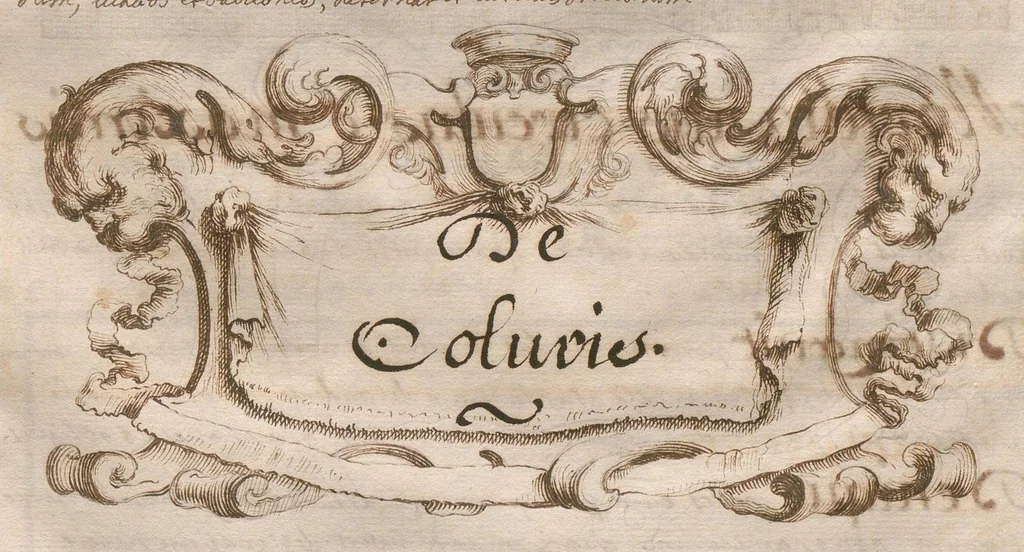 An illustration from « De sphaera et definitione sphaerae » : traité de géométrie et d'astronomie., 1601, leaf 28