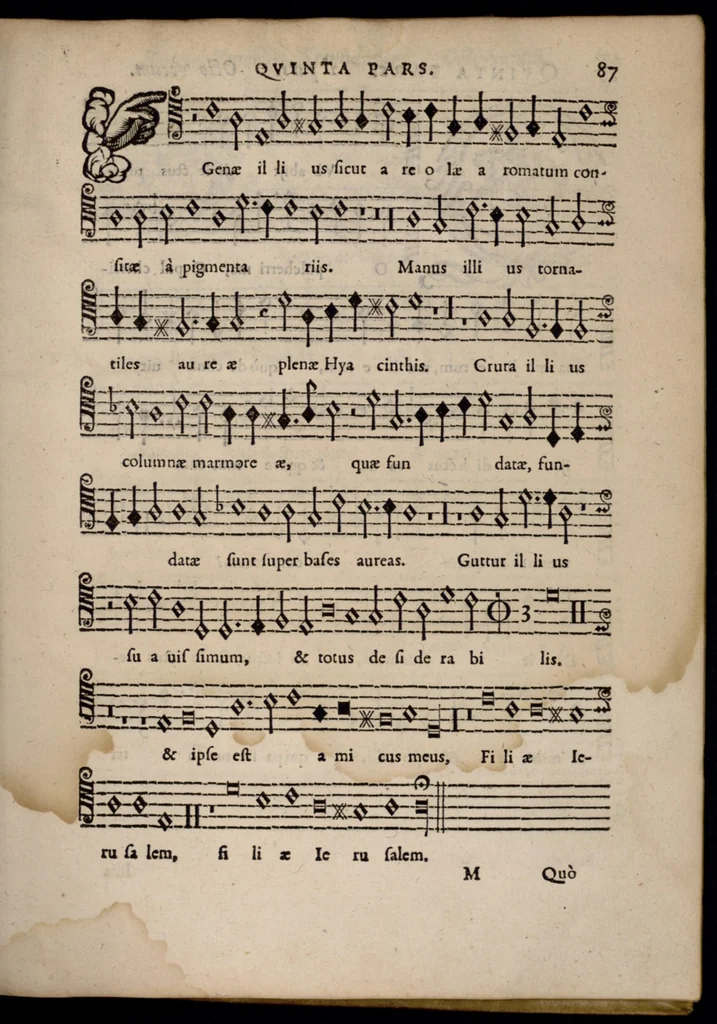 An illustration from Livre de melanges de C. le Jeune. Quinta pars., 1585, leaf 106