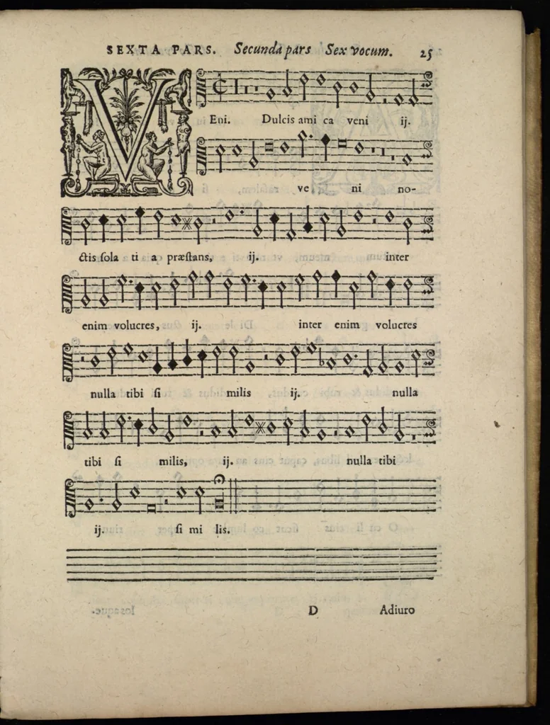 An illustration from Livre de melanges de C. le Jeune. Sexta pars, 1585, leaf 36