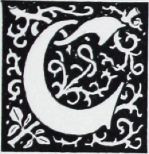 An illustration from Beaded fringe / by A.L. Crawford., 1907, leaf 2