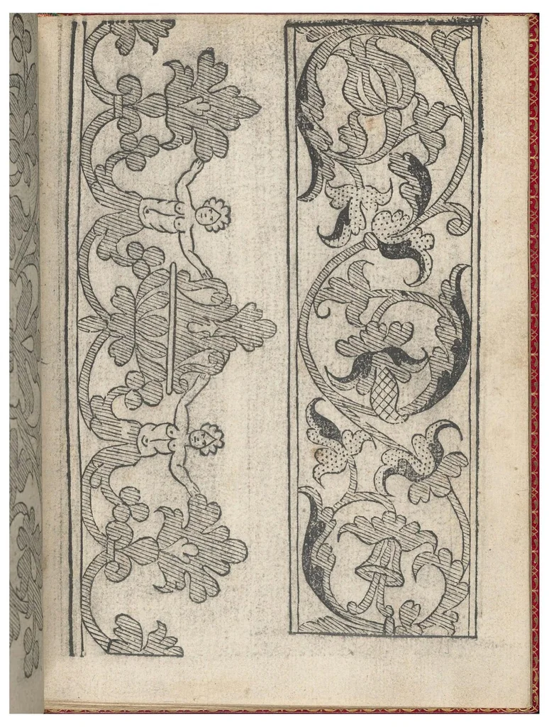 An illustration from Il Monte: Opera Nova di Recami, 1557, leaf 10
