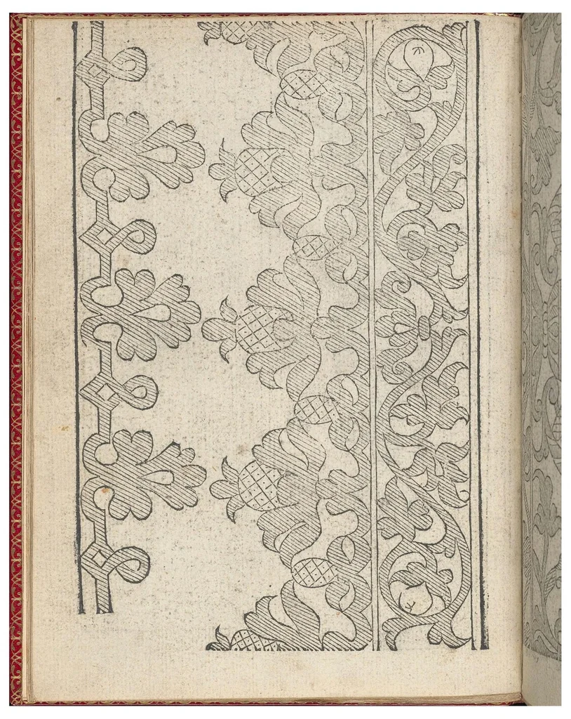 An illustration from Il Monte: Opera Nova di Recami, 1557, leaf 11