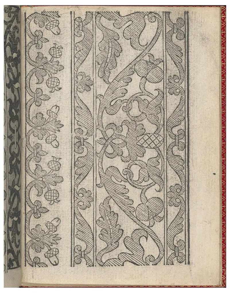 An illustration from Il Monte: Opera Nova di Recami, 1557, leaf 14