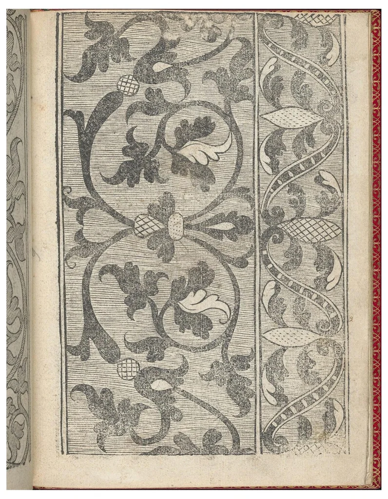 An illustration from Il Monte: Opera Nova di Recami, 1557, leaf 18