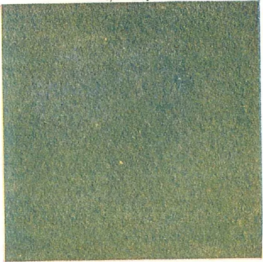 An illustration from Blabon art linoleum styles for 1921., 1921, leaf 38