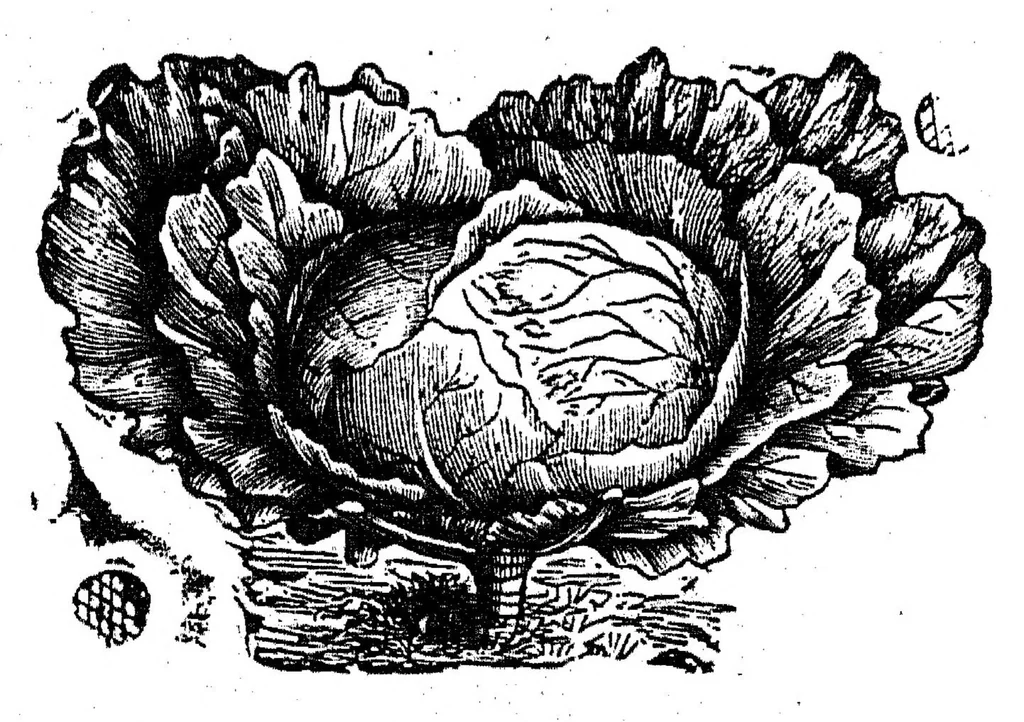 An illustration from Buddhibalkrida, 1893, leaf 469